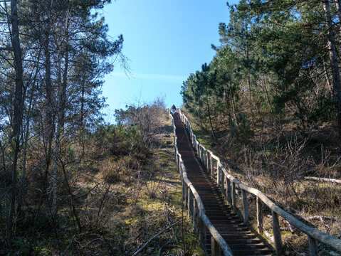 Nature reserve "Schoorlse Duinen". Noord-Holland province, The Netherlands