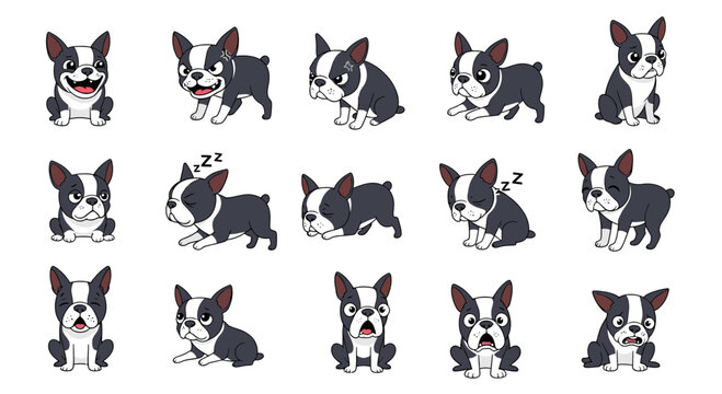 Boston Terrier cartoon character expressions and poses in playful style  