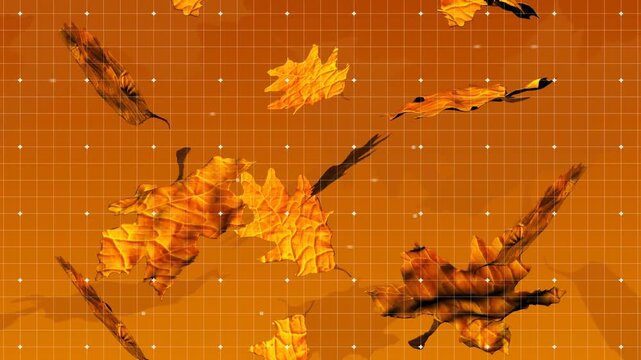 Animation of leaves falling over shapes