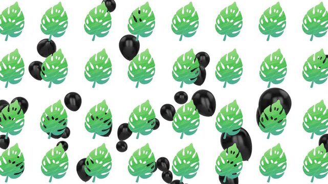 This video shows a tropical vector illustration and art concept