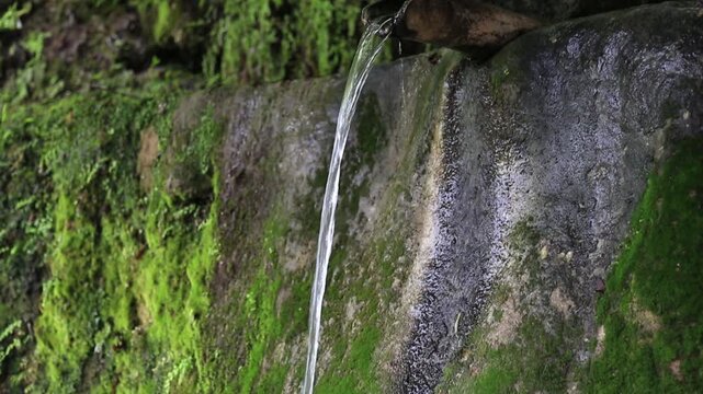 resh water stream flowing from a moss-covered rock in a lush green mountain area, representing natural water source and serene environment in rural Indian landscape.