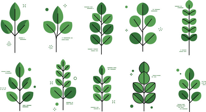 Minimal green plant icons set with simple leaves and stems flat botanical collection vector illustration isolated on white background