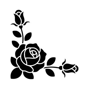 Drawing of roses, engraved style rose art, engraving roses black and white