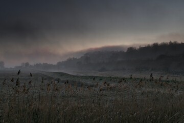 mgła w rezerwacie Beka © Krzysztof