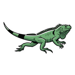 Obraz premium Green Iguana Reptile Walking Isolated on White Background