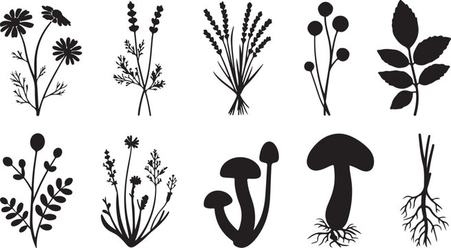 A collection of various hand drawn botanical silhouettes featuring wildflowers and mushrooms isolated on white background