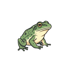 Obraz premium Green frog sitting on white background