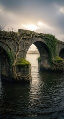 Fototapeta premium Ancient stone arch bridge structure is heavily overgrown with climbing plants above dark flowing water under a dramatic sky