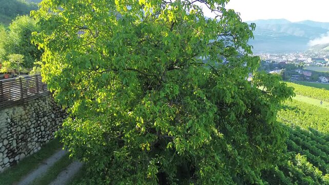 landscape view in italy 