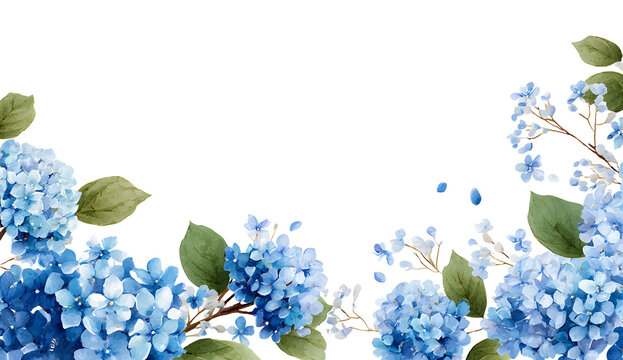 Charming watercolor blue hydrangeas adorn lower left and right corners transparent background vector floral arrangement spring summer wedding invitation greeting card design element
