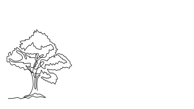 Animated self drawing of continuous line draw trees. Full length one line animation. 4K