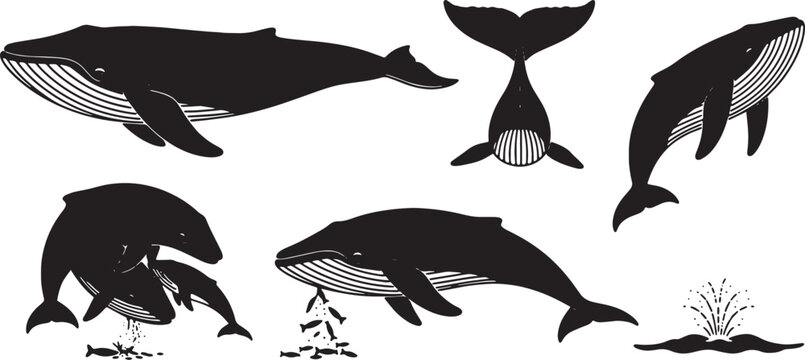Black Solid Blue Whale Poses Silhouettes Set of Six