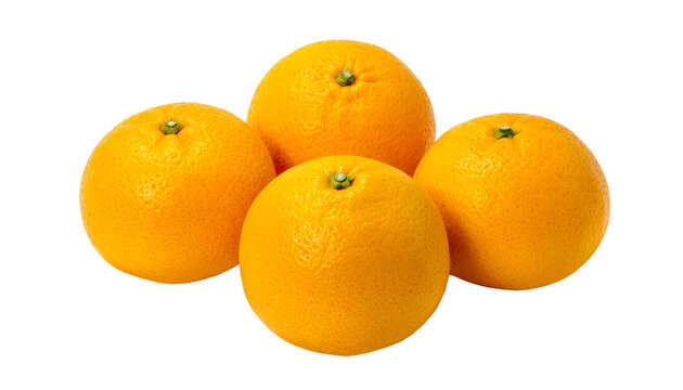 Four bright, round citrus fruits with green stems, arranged on a stark black background