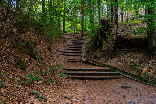 Wanderweg zur Bastei