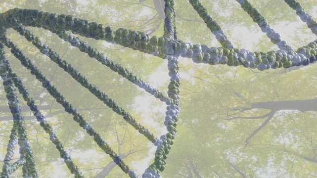 Opening showing DNA helix rotating clockwise revealing structure against forest canopy in 3D render