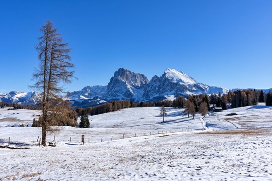 Winter auf der Seiser Alm
