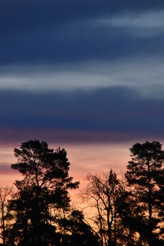 The beautiful and colorful sky.