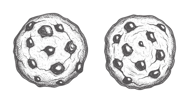 Two hand drawn chocolate chip cookies with dark chips and textured surface food sweet