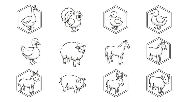 Farm Animals Line Drawings Collection.