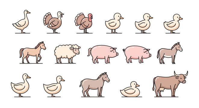 Farm animals standing in rows.