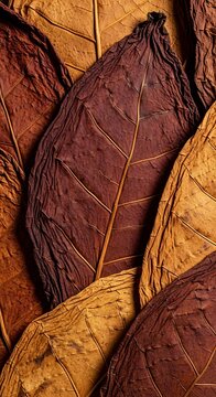 Close-up of Cured Tobacco Leaves Displaying Rich Textures and Colors.