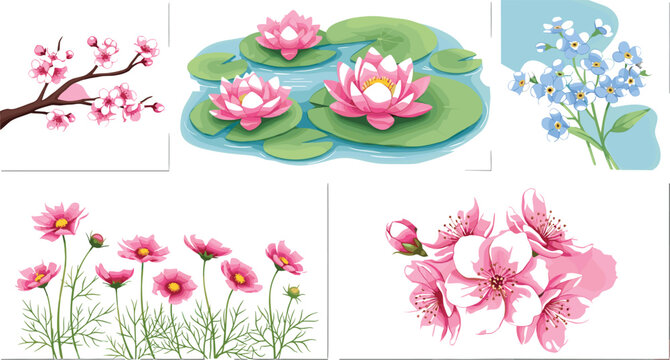 Spring flowers collection lotus cherry blossom cosmos and forget me not flat vector illustration