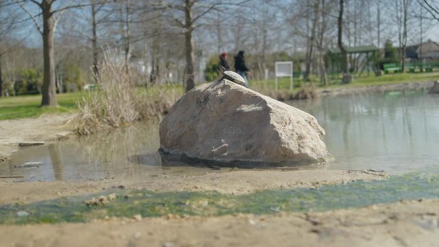 Hot mineral spring stream at Vanga temple complex in Rupite Bulgaria
