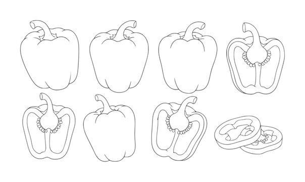 Line collection of bell peppers whole halved and sliced capsicum vegetable food