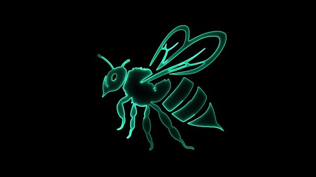 Teal Neon Outline of a Bee on Black Background insect animal
