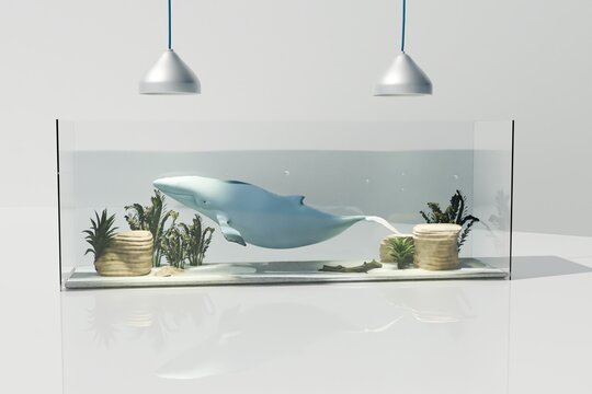 3d render of blue whale in home aquarium with glossy white background