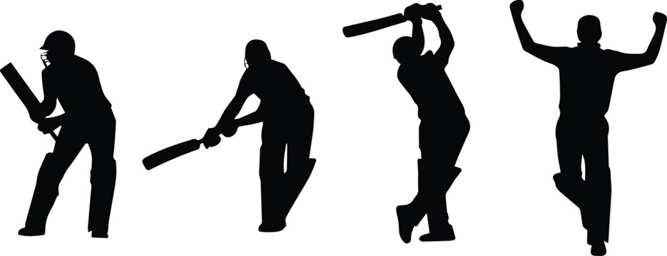 Cricket fielding and celebration silhouettes