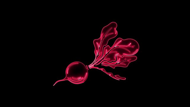 Bright Pink Neon Outline of a Radish with Leaves on Black Background beet root vegetable