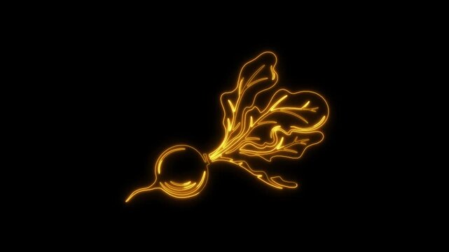 Golden Yellow Neon Outline of a Radish with Leaves on Black Background beet root vegetable