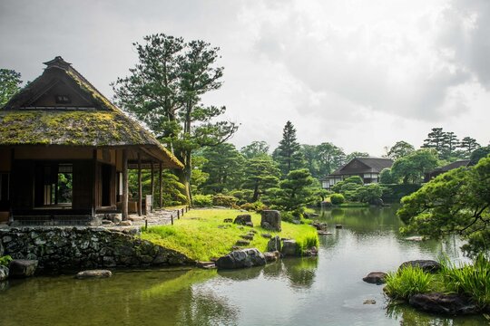 Wide angle view of a classic Japanese landscape garden featuring a thatched tea house overlooking a calm pond and shaped pines.