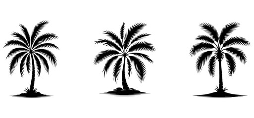 Fototapeta premium Palm tree silhouettes palm trees black 1 white background