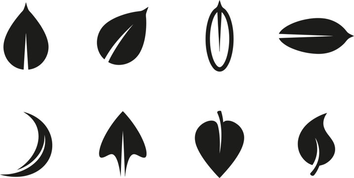 Eight Black Leaf and Seed Shapes on White Background plant nature