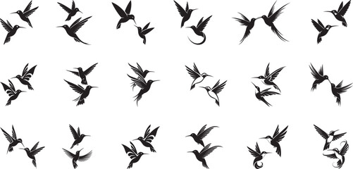 Fototapeta premium Various couple hummingbirds in air silhouette collection, flying birds sign, hummingbird silhouette flat vector design.