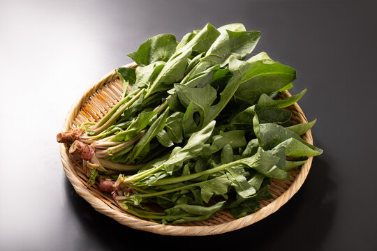 （山形県　天童市産）赤根ほうれん草（山形伝統野菜）