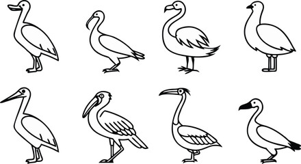 Obraz premium A set of vector bird silhouettes featuring a black swan and goose illustration designed as a nature symbol of love on a lake