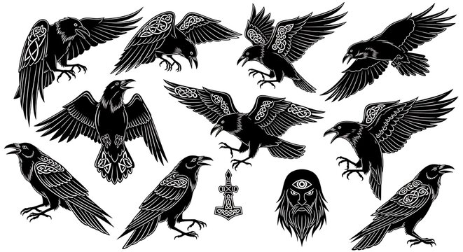 Viking Ravens - Norse Mythology Inspired Vector Art Collection.