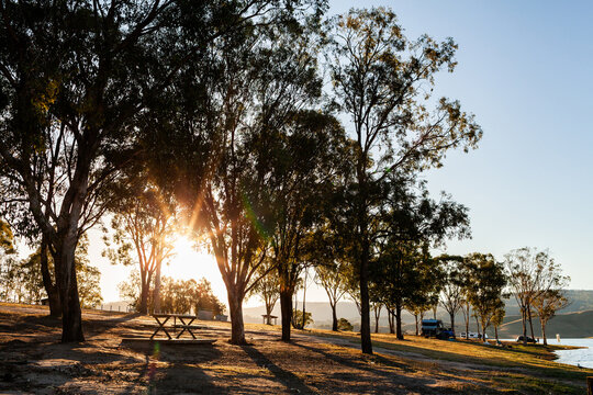 Picnic table at campground in Australia with sunlight starburst through trees