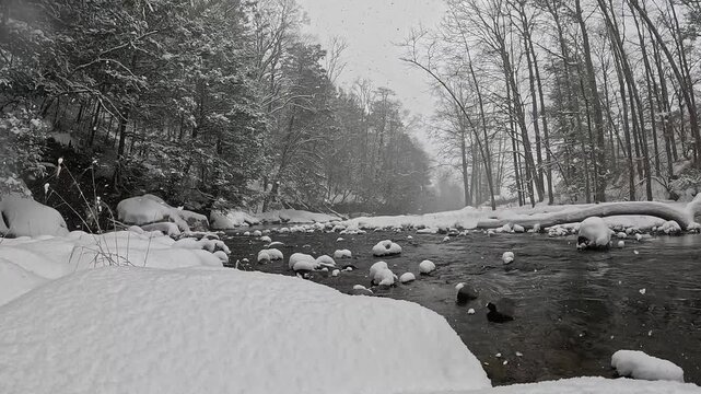 Snow Falling Over Winter River with Snow Covered Rocks and Forest &ndash; Peaceful Stream Scene No Audio 4K