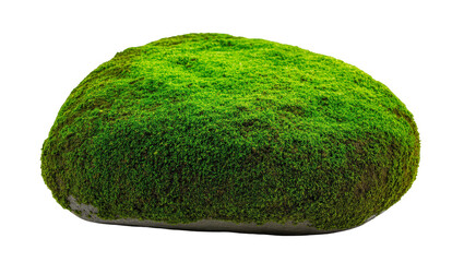 Isolated natural large stone completely covered with vibrant green lush moss and plants. © Iura