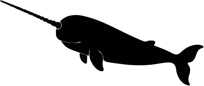 Narwhal Silhouette &ndash; Flat Vector Plotter Cut File