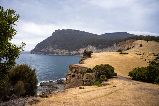 Maria Island Fossil Cliffs