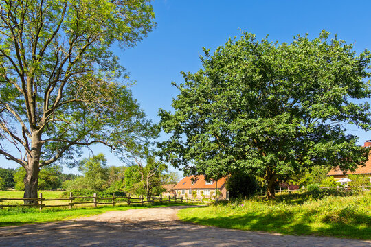 Haus mit Stra&szlig;e und B&auml;umen auf der Insel Kampenwerder im Schaalsee
