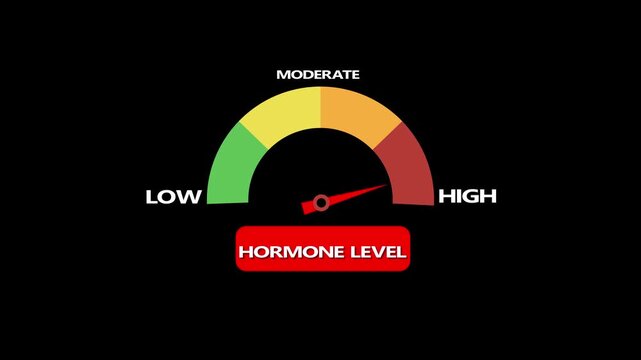 Hormone Level Gauge Animation Low to High Indicator, Medical Health Monitoring Concept, Endocrine System Visualization, Body Hormone Balance Interface, Energy Level Meter, Wellness Tracking, Biologica
