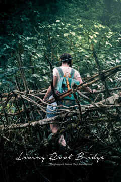 Famous double decker living root bridge in Cherrapunji, Meghalaya