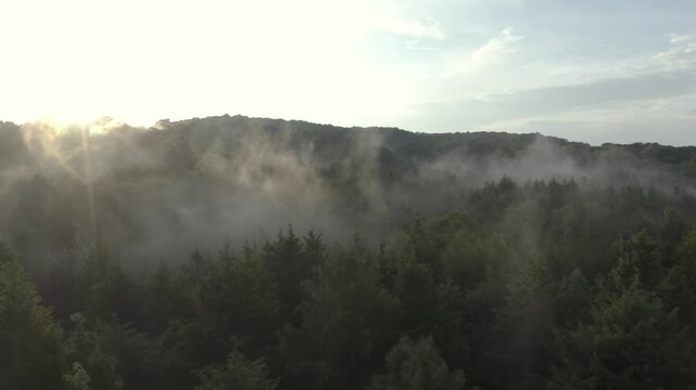sky, clouds, nature, landscape, fog, forest, cloud, mountain, tree, storm, mist, trees, rain, cloudy, cloudscape, mountains, time lapse, weather, smoke, hill, blue, sunset, grass, water