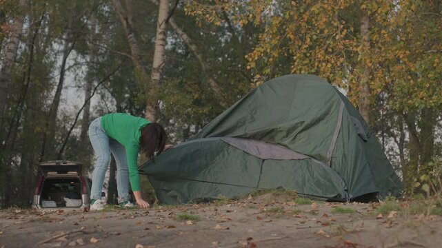 Caucasian woman erecting green tent camping in autumn forest, concentrating on frame assembly and securing flysheet parked car and birch trees in background, fallen leaves underfoot, overcast soft